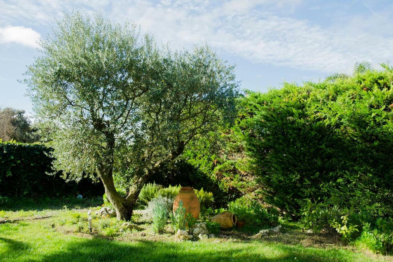 B&B Tina de Pacs, close to local wineries Pacs del Penedès Exterior foto